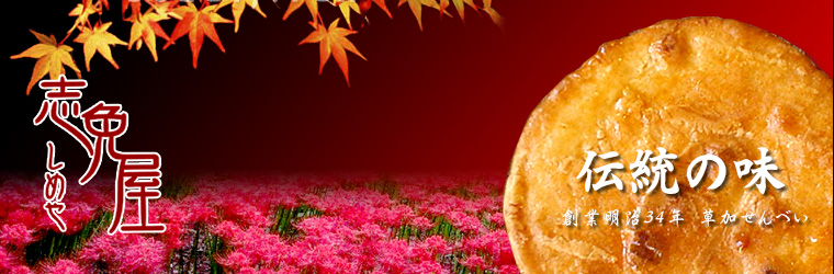 ׂ,݁EE̐XBnƖ34NuuƉv